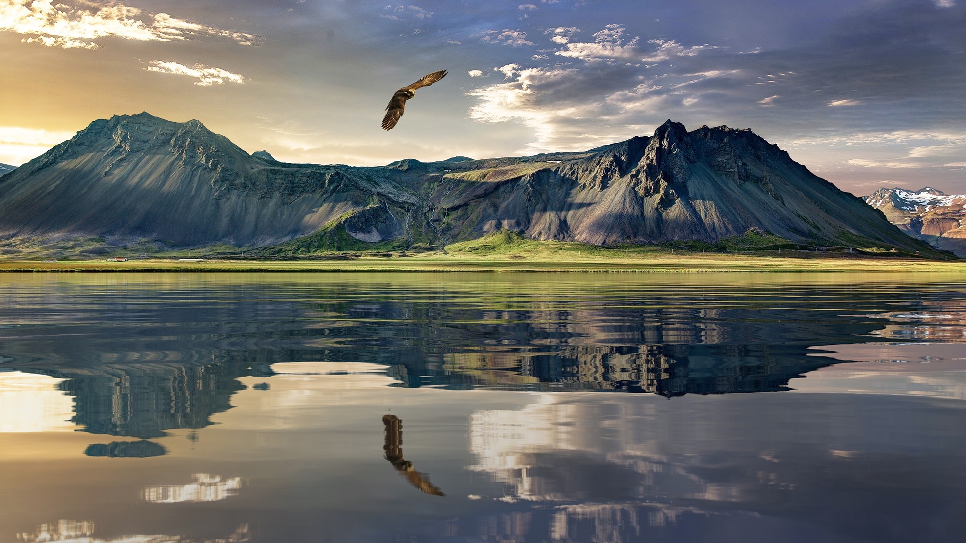 eagle flying over lake with mountains behind it