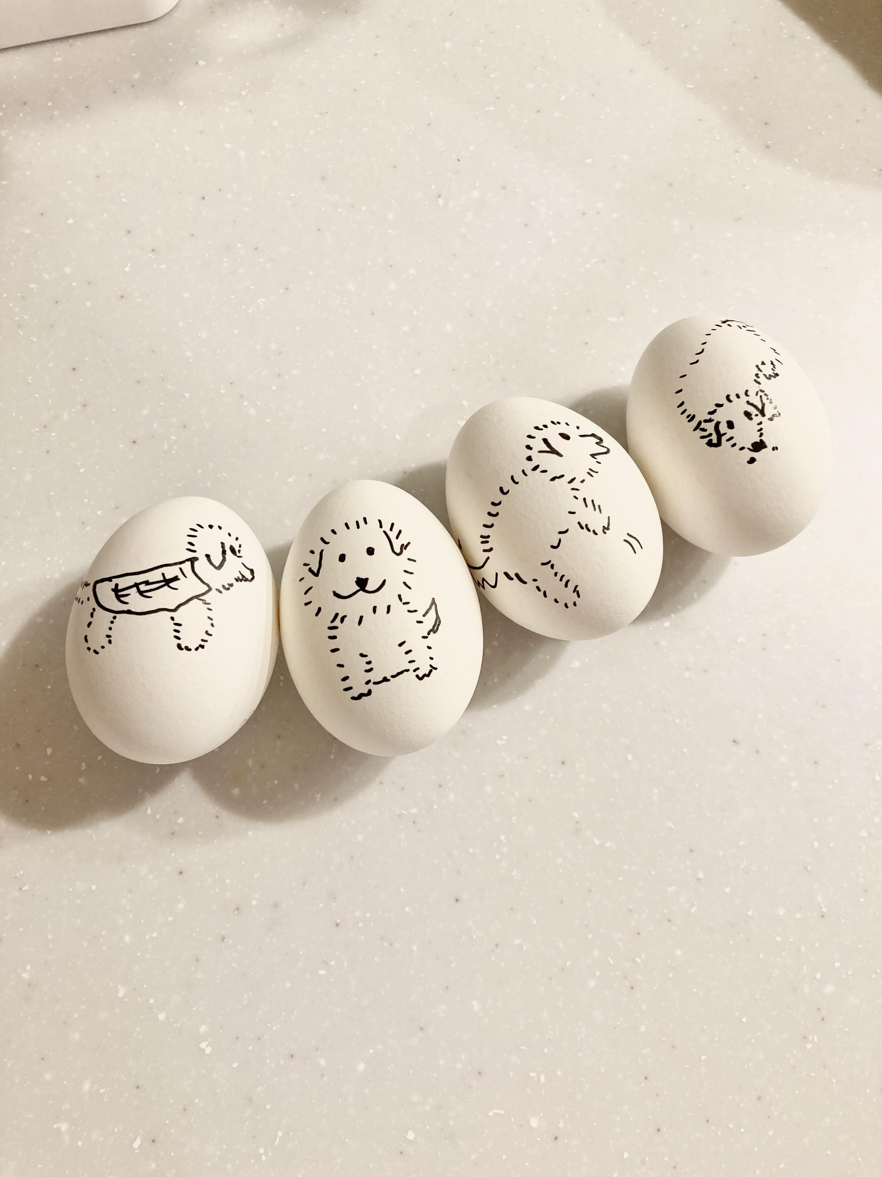 4 boiled eggs with pictures of a puppy drawn on them