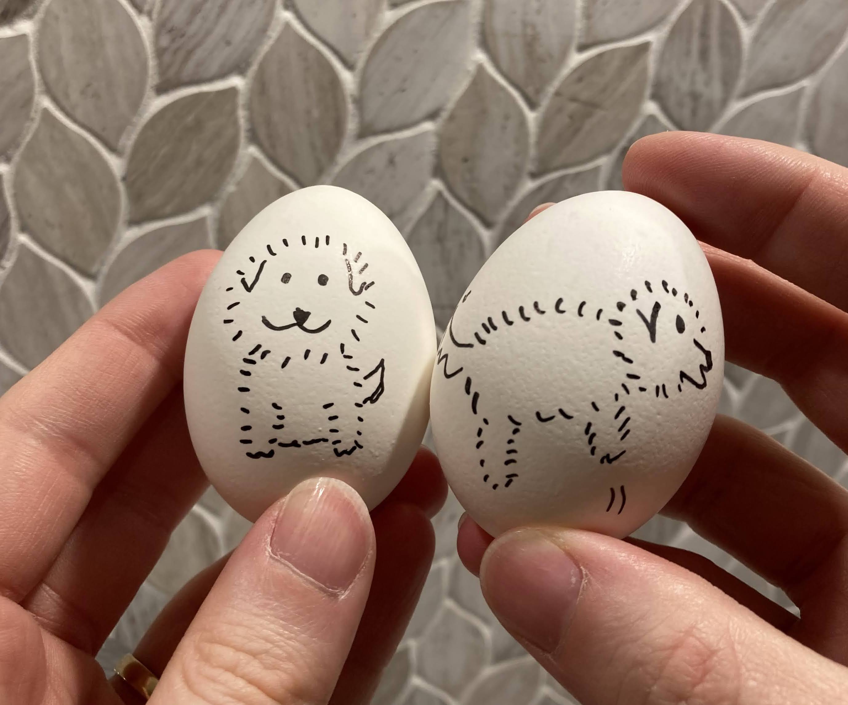 Two boiled eggs with pictures of a puppy drawn on them