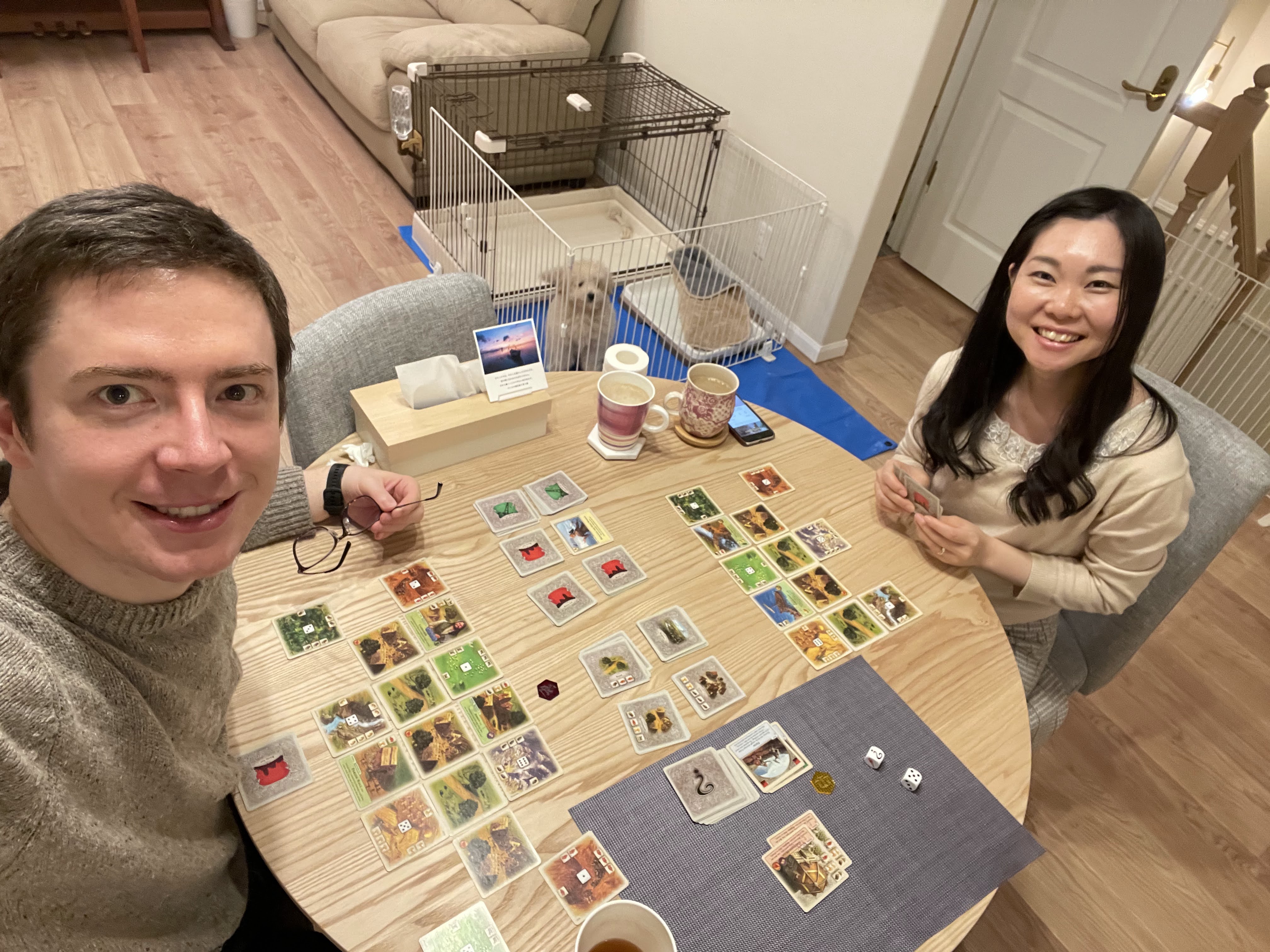 Playing Rivals for Catan